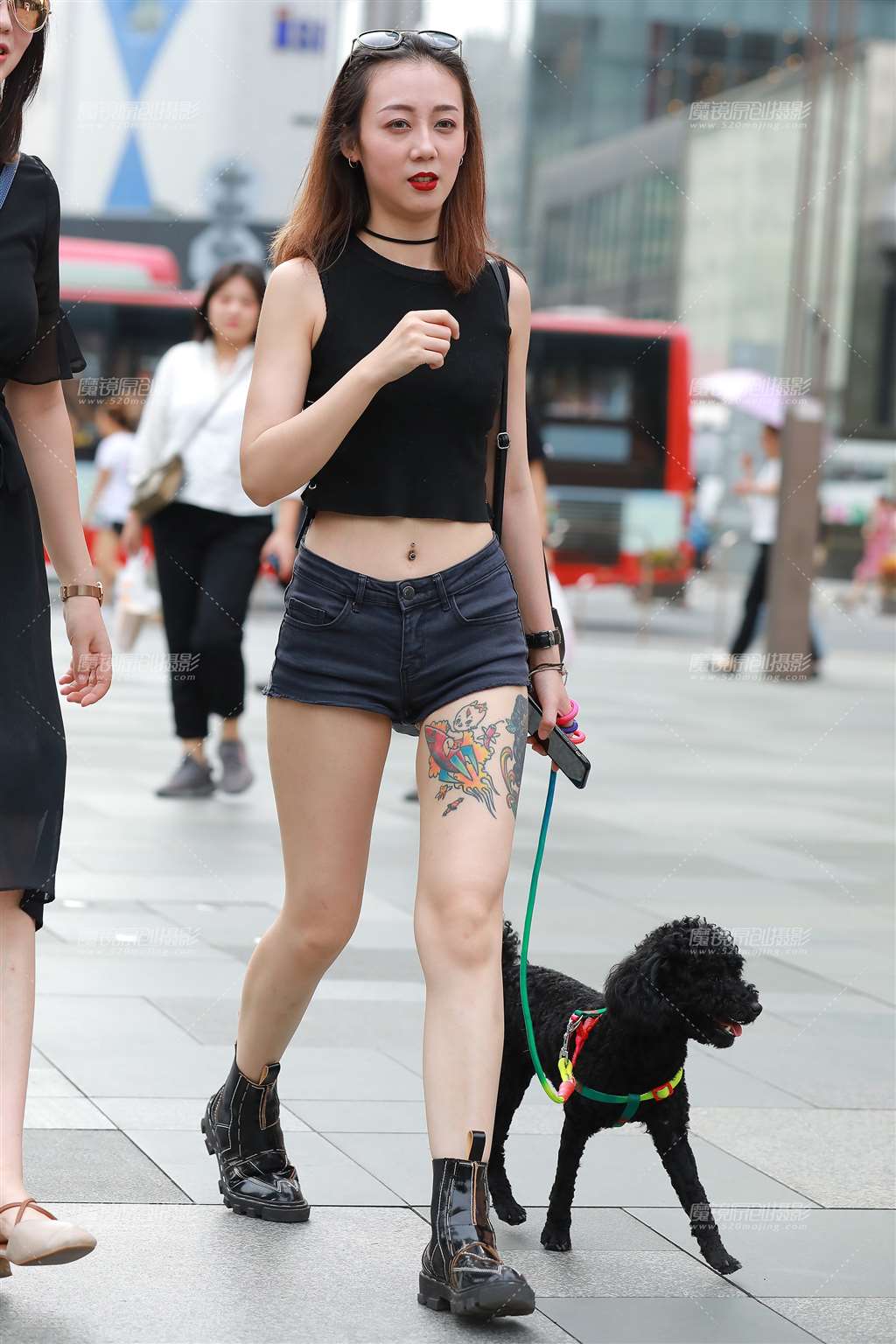 图片[1]-遛狗，热裤美眉-街拍流行馆