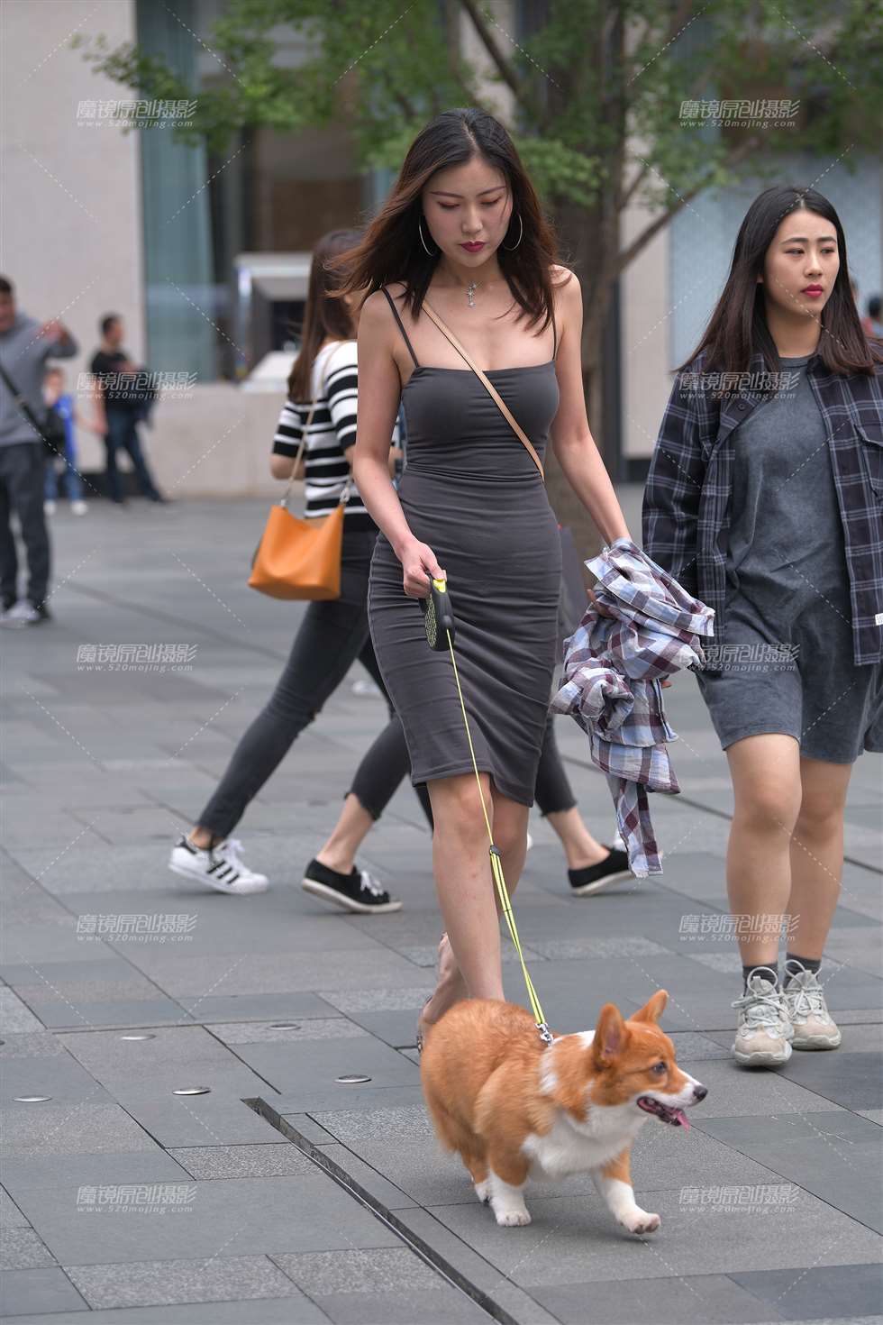 图片[5]-【视觉冲击赛贴】性感的遛狗美女**-街拍流行馆