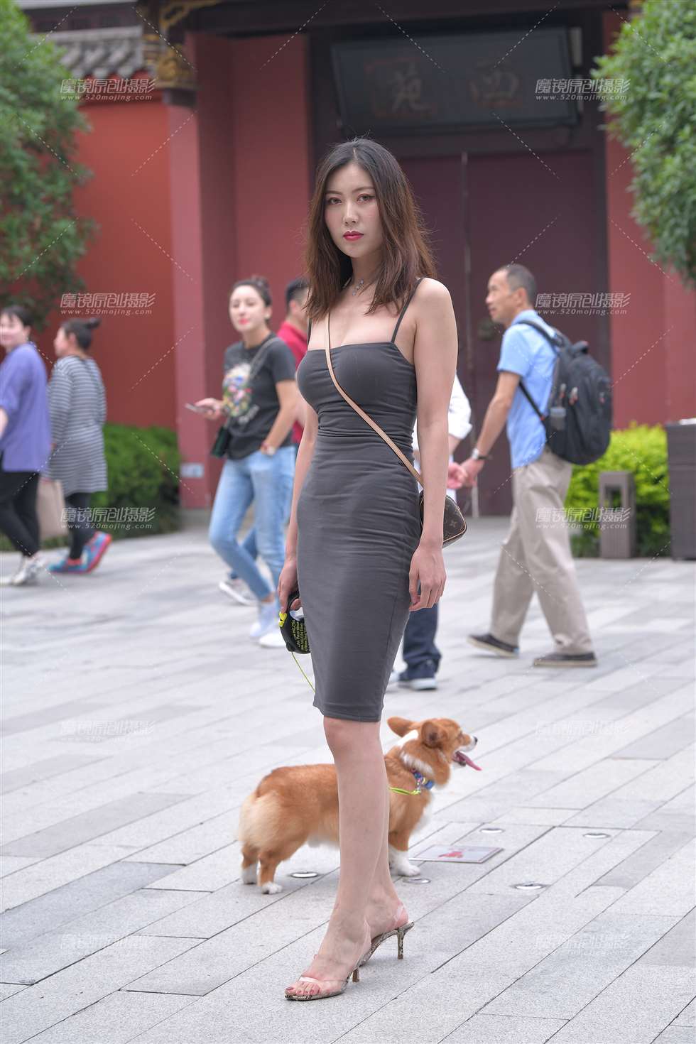 图片[1]-【视觉冲击赛贴】性感的遛狗美女**-街拍流行馆