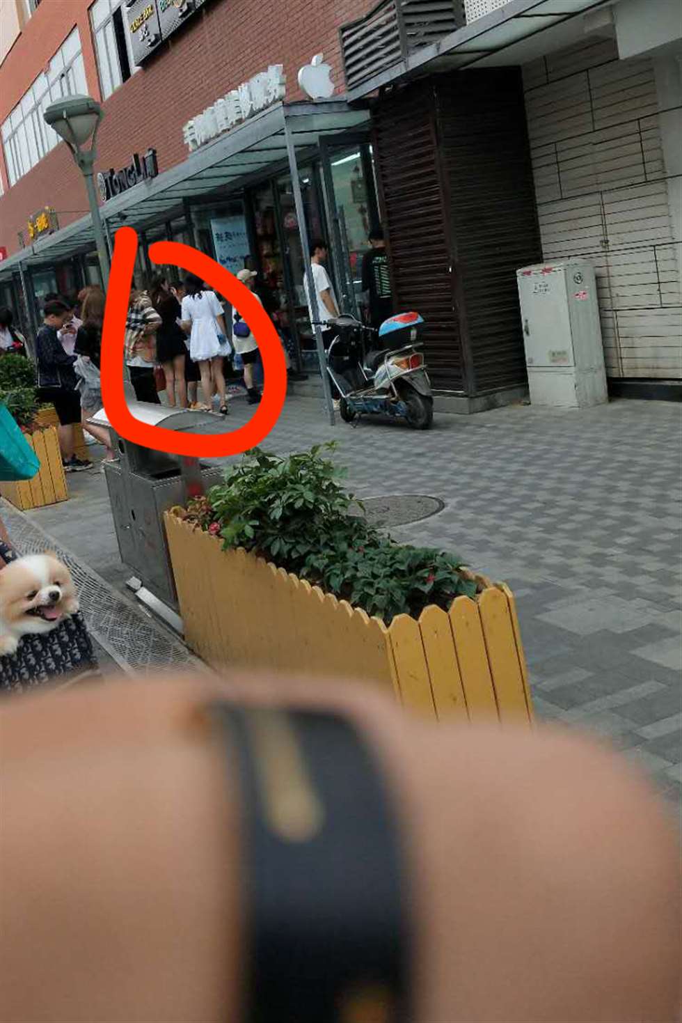 图片[3]-【街拍之魂赛帖】我全都要，你呢-街拍流行馆