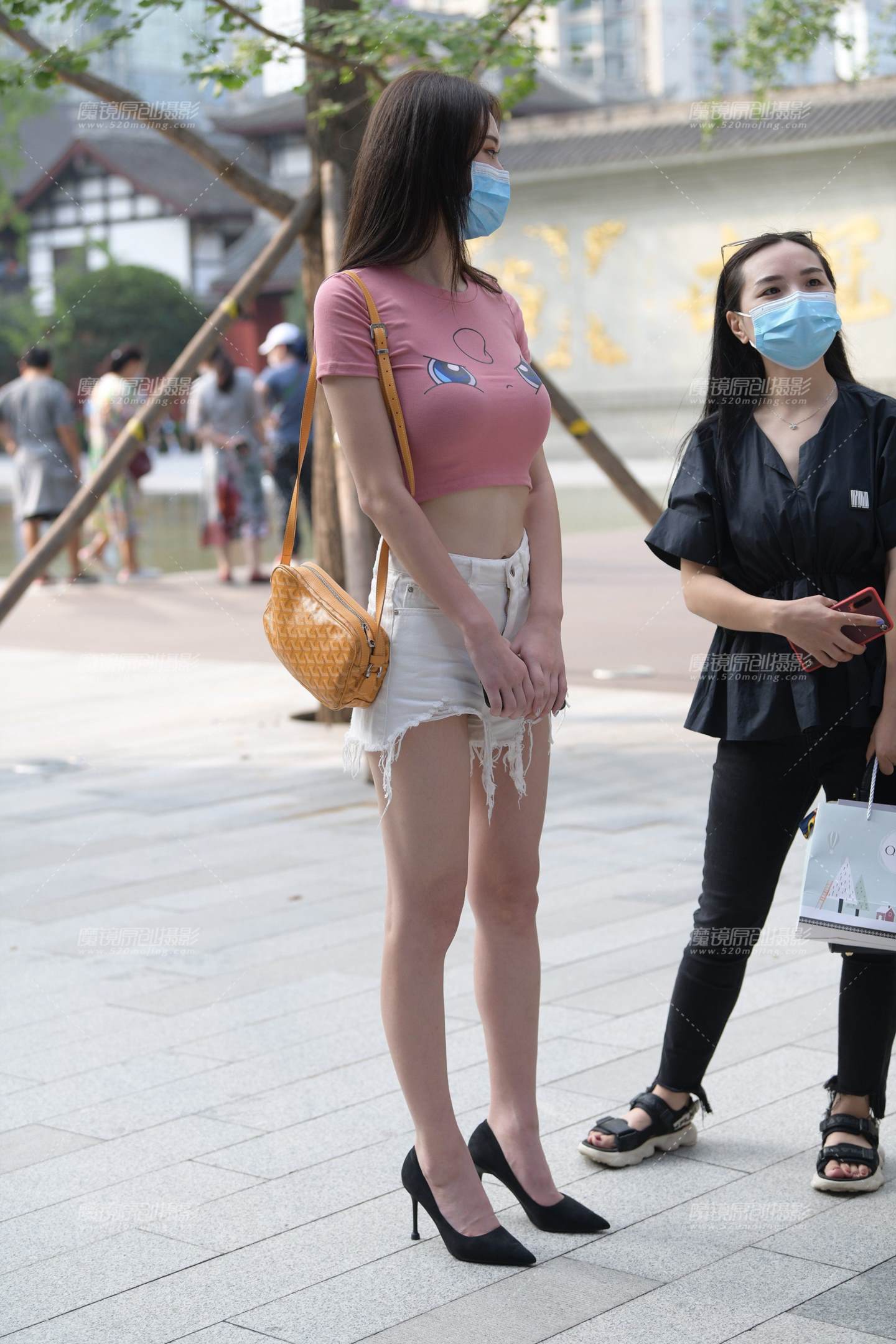 图片[1]-丰满可爱的小猫咪-街拍流行馆